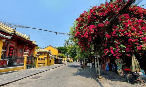 Phố cổ Hội An “đìu hiu” giữa lúc dịch bùng phát